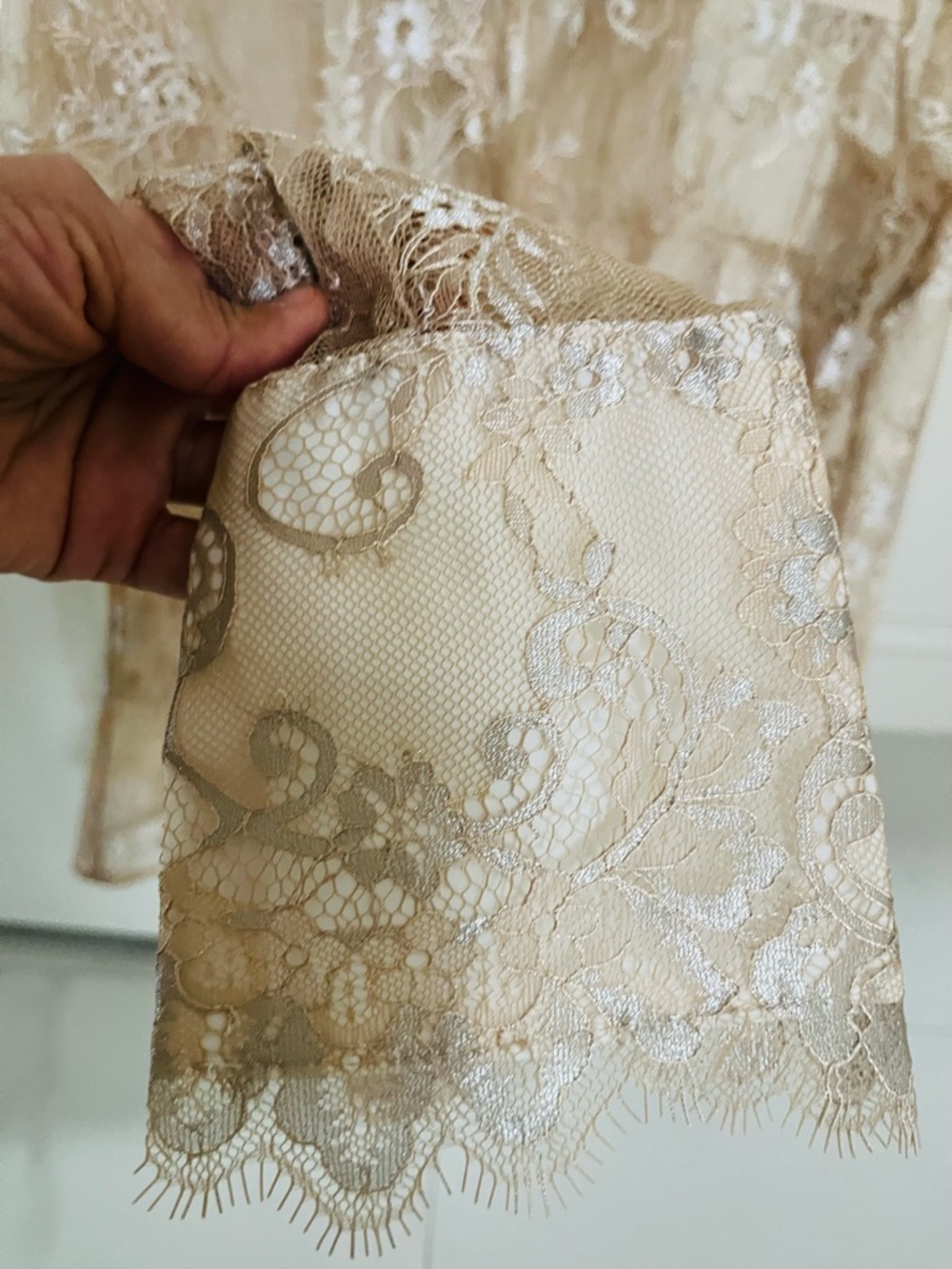 Maeve Anthropologie Sheer Lace Button-Down Shirt in Beige - Picture 6 of 7